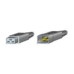 Cisco CAB-C19-CBN= Cabinet Jumper Power Cord 250 VAC 16A