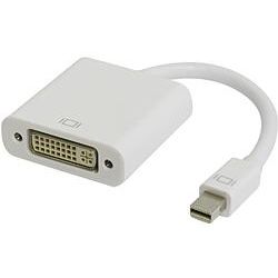 20cm Mini DisplayPort Male to DVI-D Single Link Female Adapter