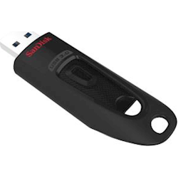 SanDisk 256Gb Ultra 3.0 USB Drive