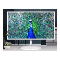 AOC 31.5" IPS Panel 4ms QHD 2560x1440, HDMI, DP, 75Hz, 3-sided Narrow Frame, VESA 100 x 100mm wall mountable, White colour