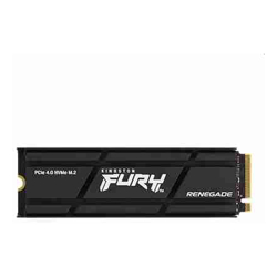 1000G RENEGADE PCIe 4.0 NVMe SSD W/ HEATSINK