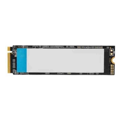OEM 256GB Gen3 NVMe SSD