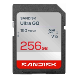 SanDisk 256GB Ultra GO SDHC and SDXC UHS-I Card (SDSDUGN-256G-GN6IN)