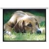 Projector Screens - Brateck PSAA135 135 (3Mx1.68M) Electric Projector Screen (16:9 ratio)
