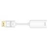Video Adapters - 8Ware DisplayPort M to HDMI female