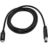 USB Type-C / 3.1 Cables - StarTech 2m 6ft USB C to USB B Cable USB 3.0