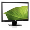 Monitors - EliteDisplay P221 21.5" LED Monitor FHD / DVI
