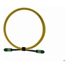 PlusOptic Other Network Cables - PlusOptic 5m MPO-MPO 12F Single mode G652D Fiber Optic Cable | Yellow