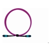 PlusOptic Other Network Cables - PlusOptic 3m MPO-MPO 12F Multimode OM4 Fiber Optic Cable | Magenta