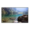 Hisense - Hisense 55WH80F 55 4K WINDOW FACING HIGH BRIGHTNESS DISPLAY 4000NITS