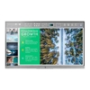 Monitors - HP EliteDisplay E243 23.8" IPS FHD Monitor 1920x1080 16:9 HDMI DP VGA (NO STAND) (Refurbished) 