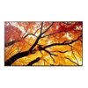 Sharp Commercial Displays - Sharp PN-M862 86" Large Display UHD