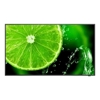 Commercial Displays - Sharp E498 49" 4K Commercial Display